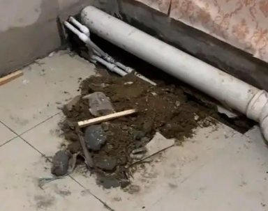 周宁卫生间漏水检测哪家好