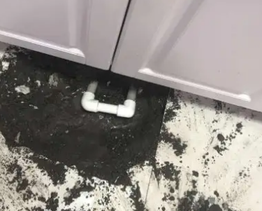 周宁查漏水哪家好